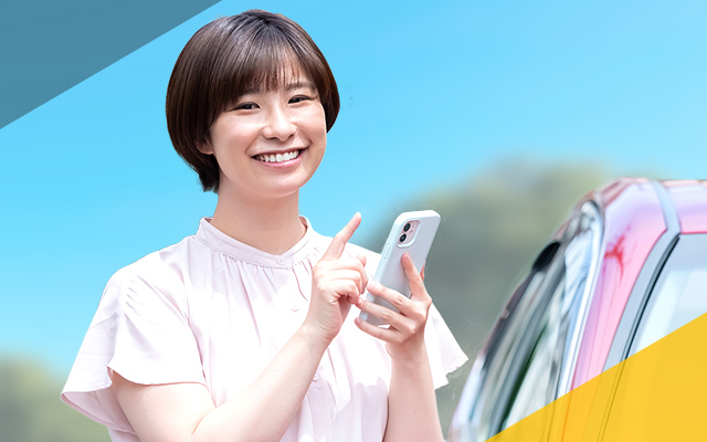 ピットチケット